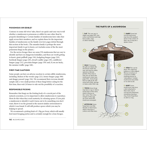 Mushroom Foraging Guide example page: Key identifying mushroom features