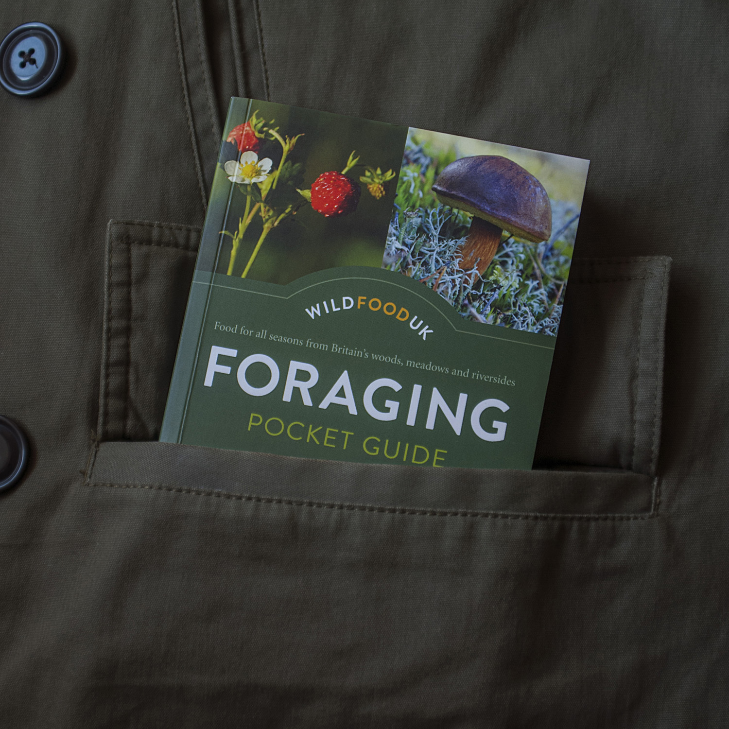 Foraging Pocket Guide - Image 4