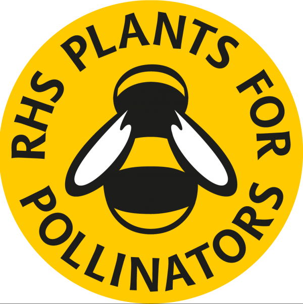 Plants for Pollinators