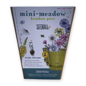 Seedball Mini Meadow