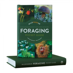 Foraging Pocket Guide Hardback Edition