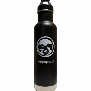 Klean Kanteen Classic Insulated Bottle