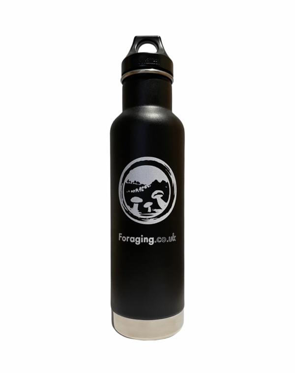 Klean Kanteen Classic Insulated Bottle