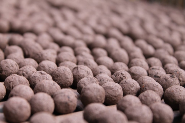 Foragers Mix Seedball