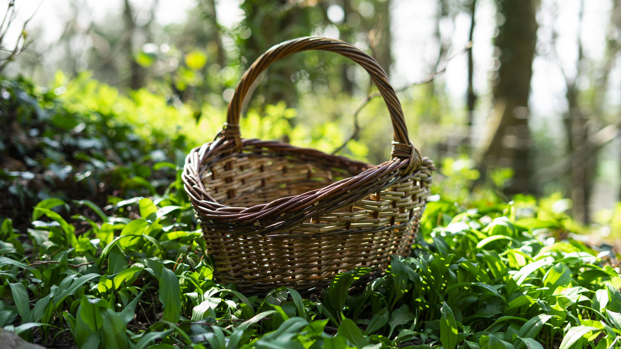 Large Willow Basket
