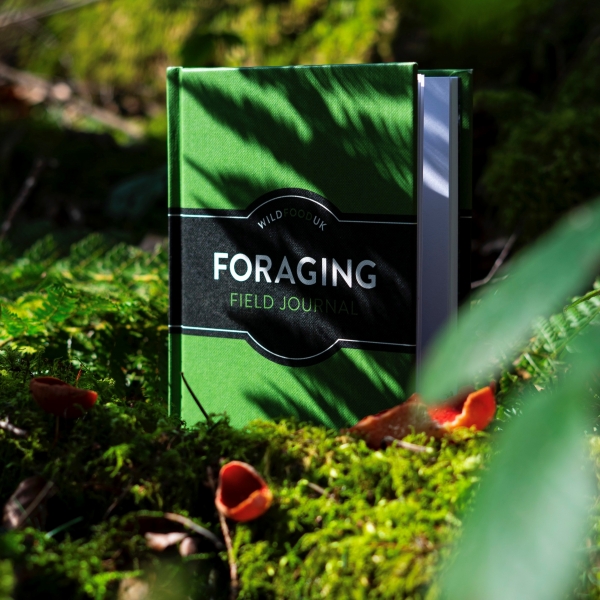 Foraging Journal