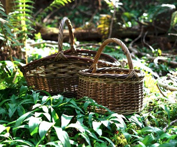 Large Willow Basket