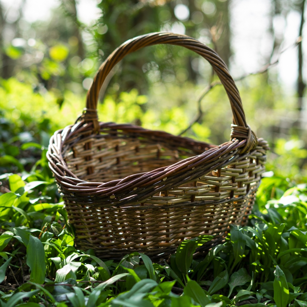 Large Foragers Willow Basket Foraging