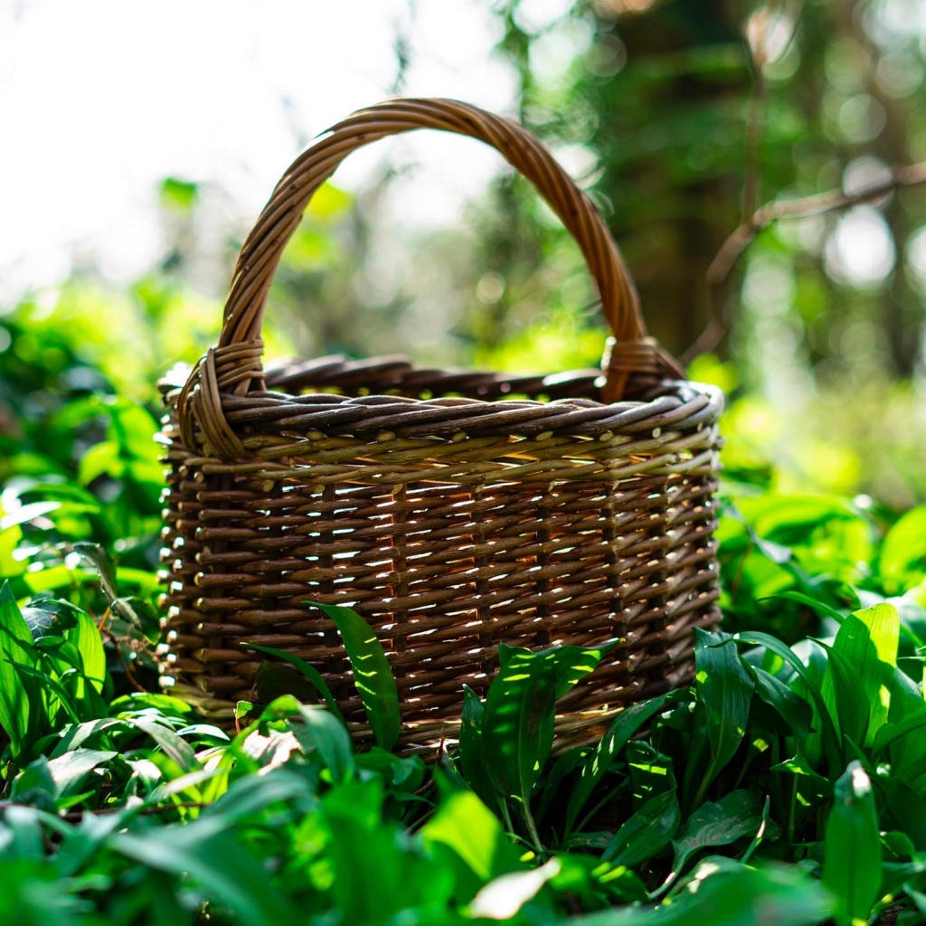 Small Foragers Willow Basket Foraging