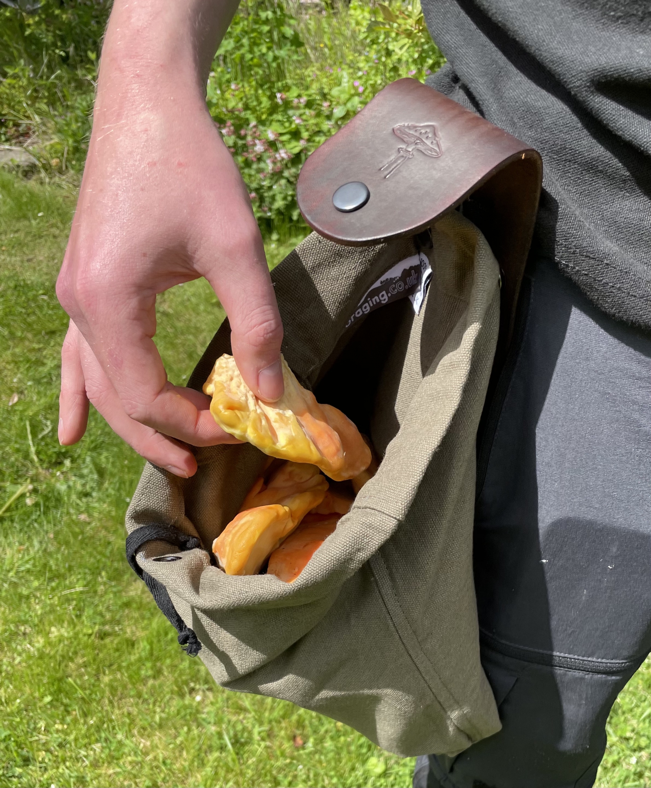 Foraging Belt Bag - Mushroom Design - Image 8