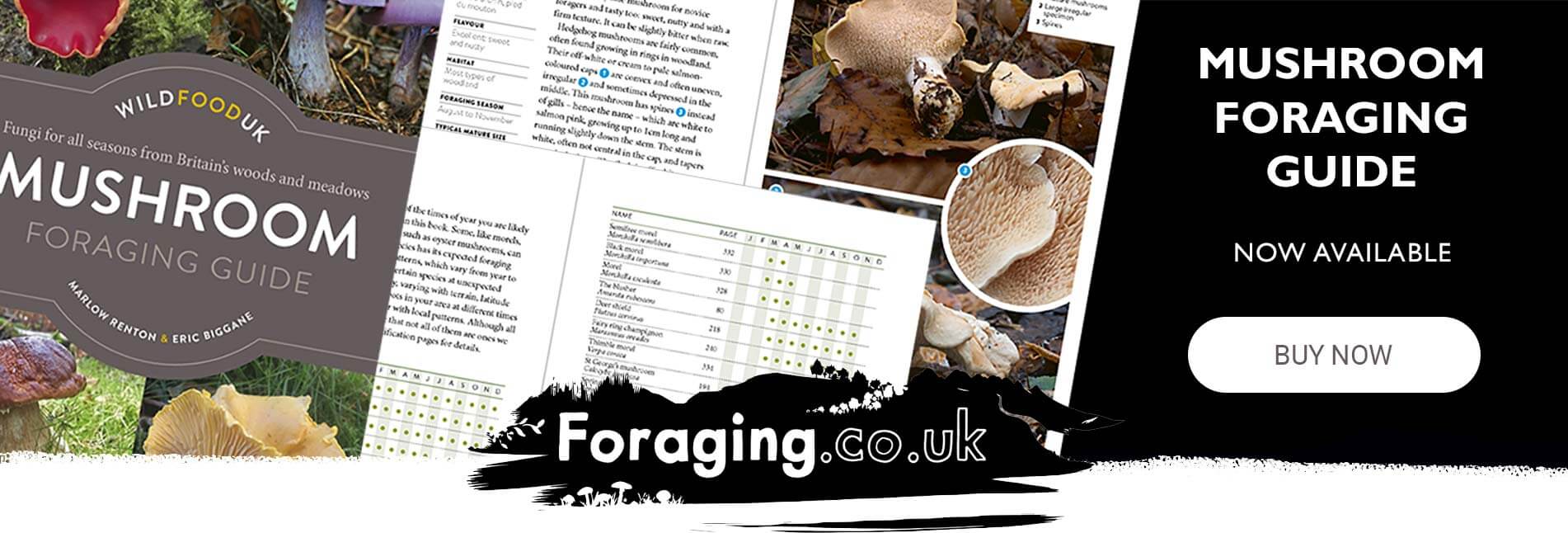 The Wild Food UK Mushroom Foraging Guide - Buy now