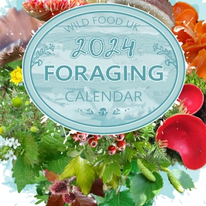 Wild Food UK 2024 Foraging Calendar