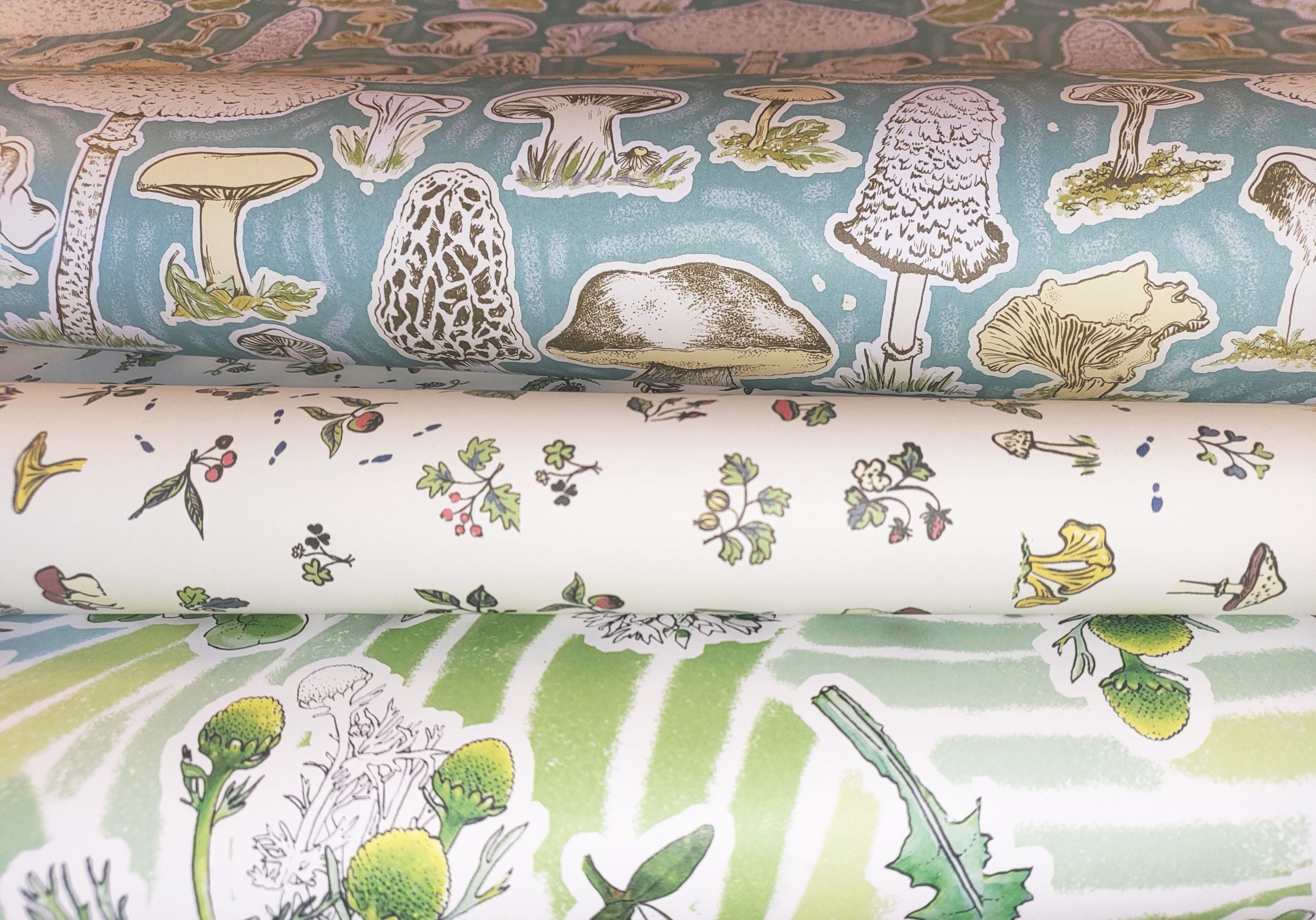 Wrapping Paper - Image 5