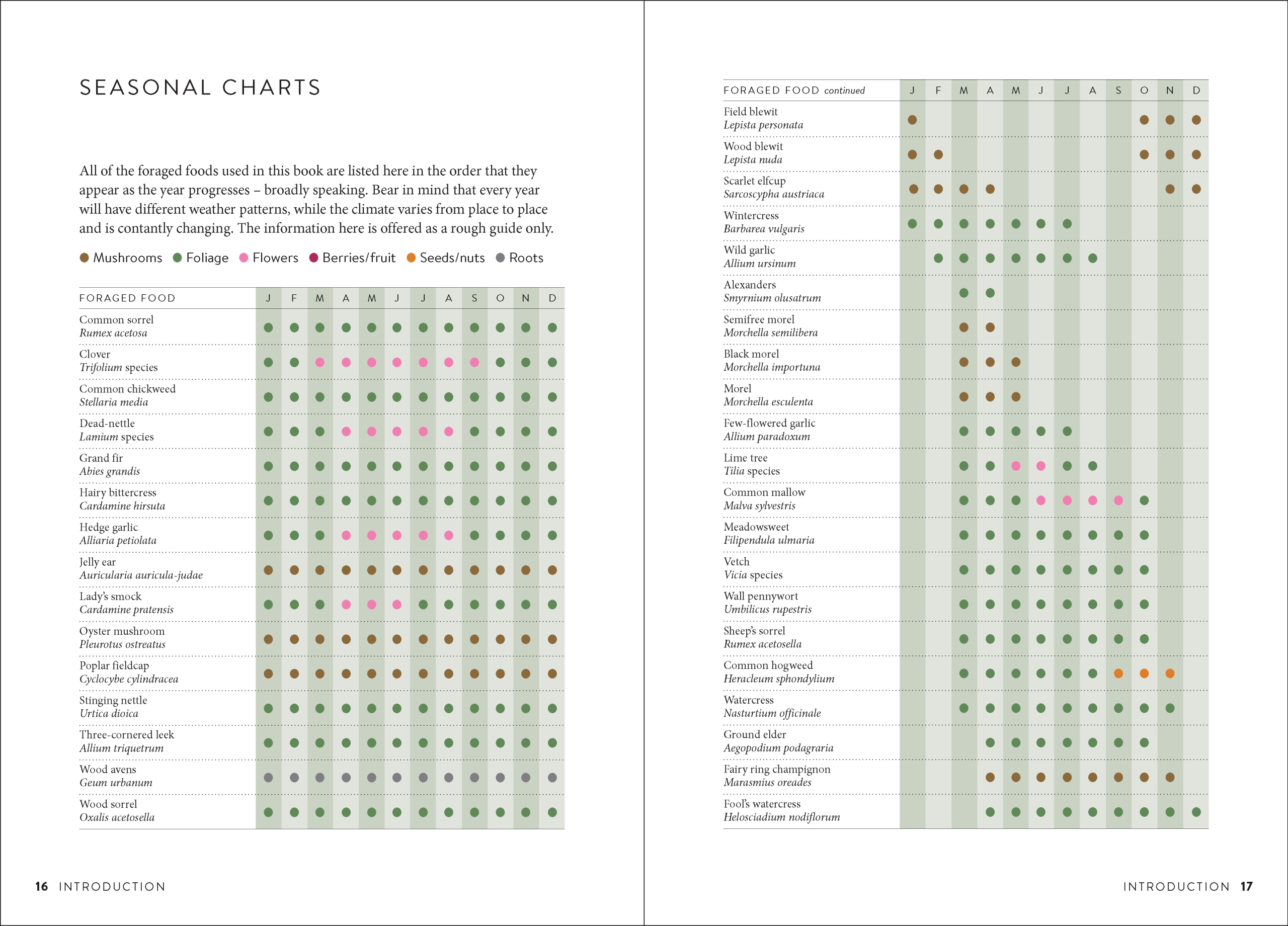 The Wild Food UK Forager's Cookbook - Image 2
