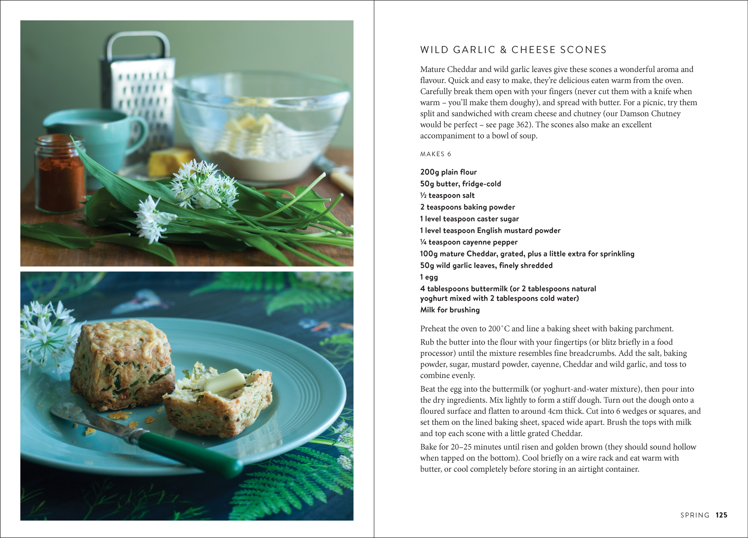The Wild Food UK Forager's Cookbook - Image 3