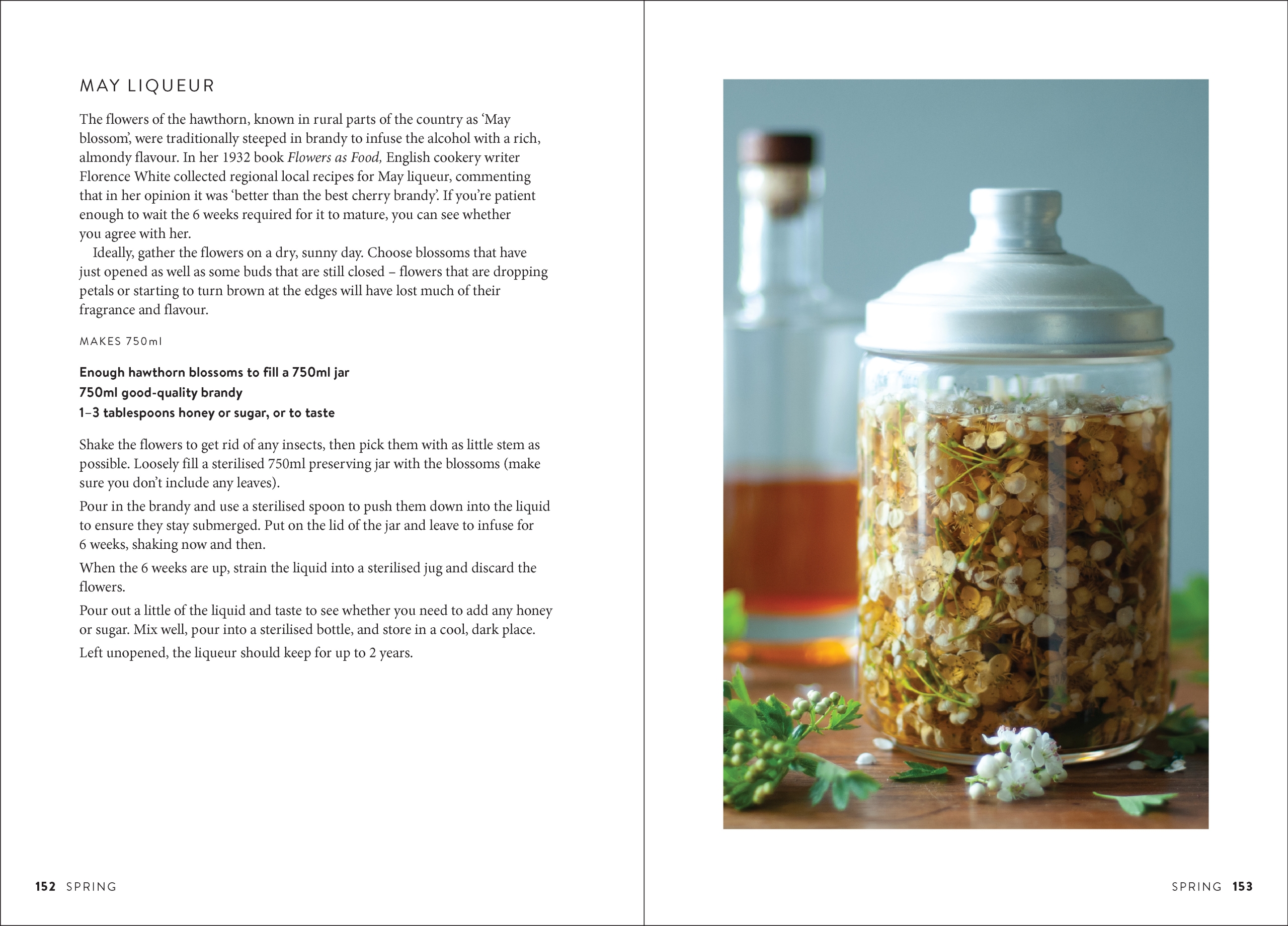 The Wild Food UK Forager's Cookbook - Image 5